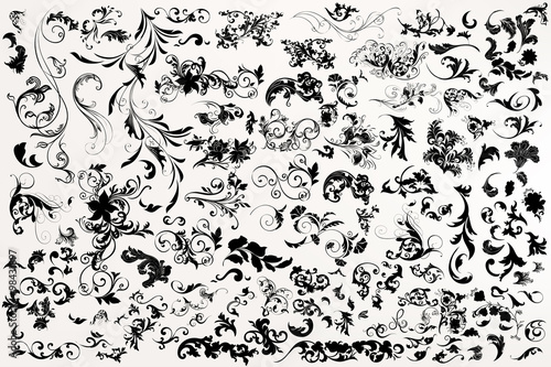 Collection of vector hand drawn flourishes in antique style. Meg