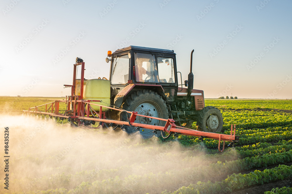 Fototapeta premium Tractor spraying soybean