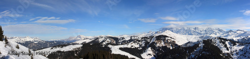 panorama sur les pics de la chaîne alpine © joël BEHR
