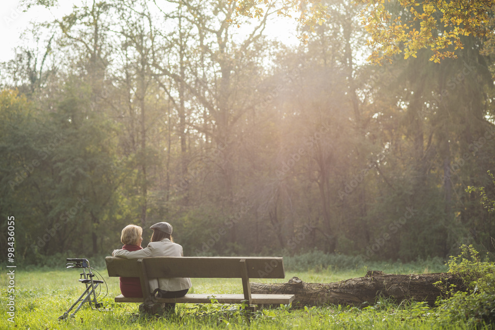 Senior woman and granddaughter sitting on a park bench, back view