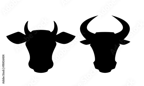 Bull and cow icon photo