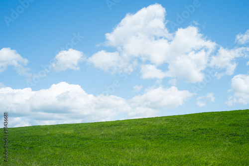 Spring background, with grass and sky