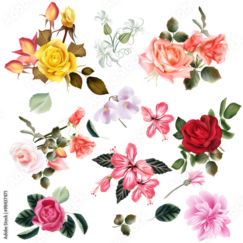 Beautiful collection of vector flowers