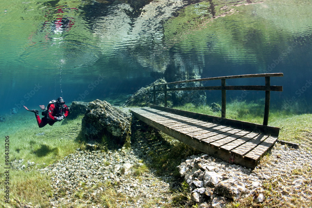 Diver in Green Lake, Tragoess, Styria, Austria Stock Photo | Adobe Stock