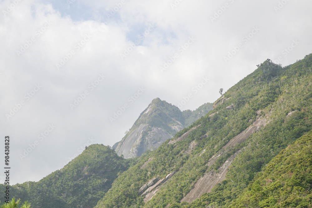 An image of Yakushima island, Japan.
Mountains in Yakushima.