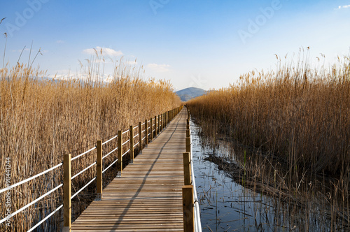 reeds, bridge and lake © canaran