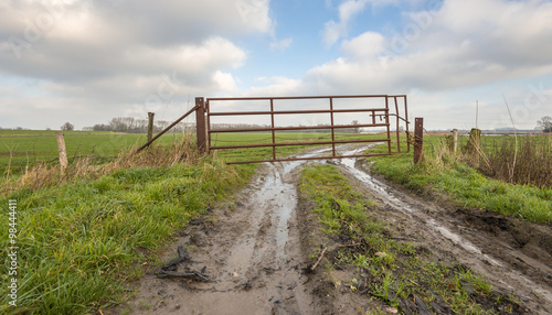 Rusty gate in muddy farmland