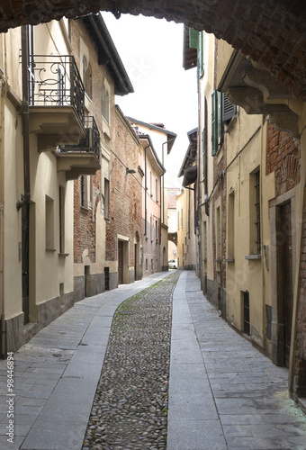 Fototapeta Naklejka Na Ścianę i Meble -  Pavia (Lombardy, Italy)