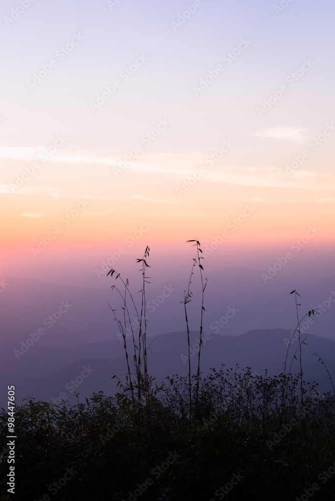 Evening sunset Wild Mountain - Stock Image 