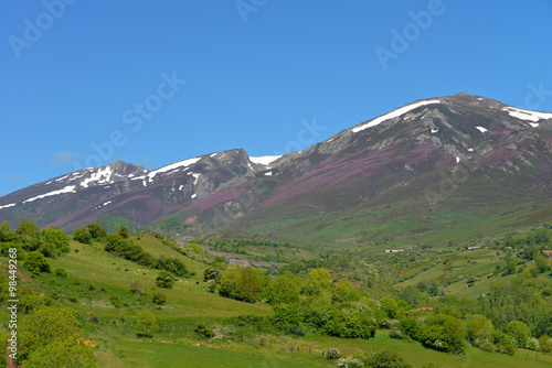 Fr  hling in der Sierra Cordel in Kantabrien