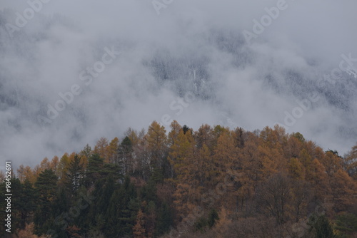 Wolkenverhangene Berge über dem Hofwald von Innsbruck
