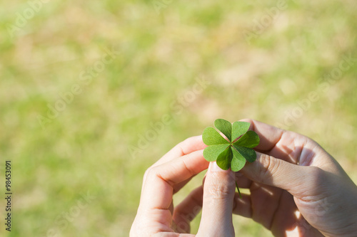 Asian Women's hands holding lucky clover leaf. photo