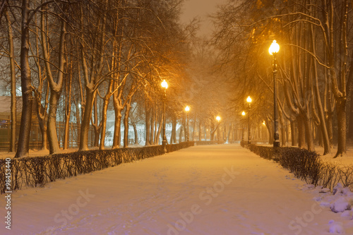 Izmailovo Park of Culture and Rest in the winter blizzard night