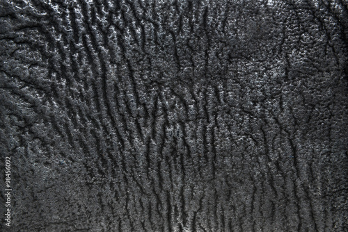 Black and white texture, shark leather background.