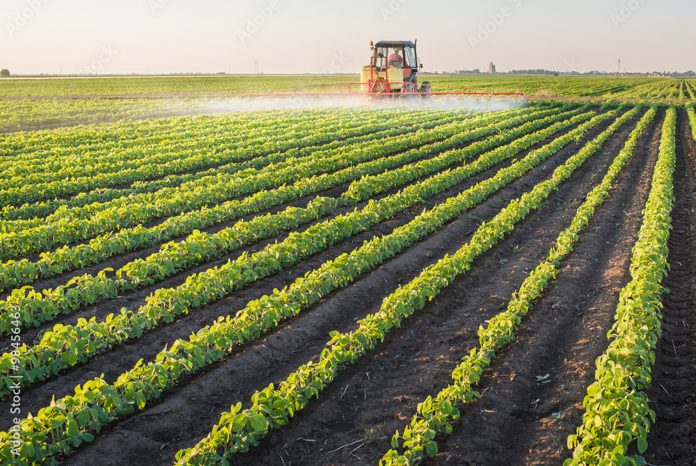 Naklejka premium Tractor spraying soybean