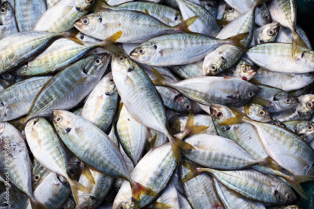 fresh fish in market