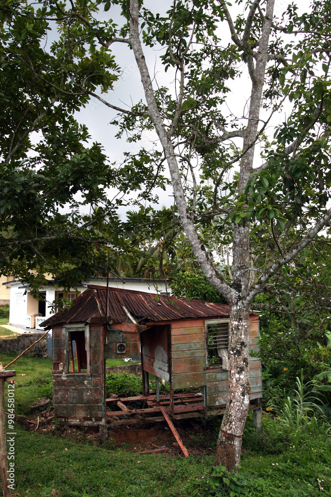 Croydon Plantation, Jamaica..