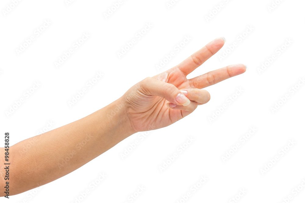 female hand on the isolated on white background female hand on the isolated on white background
