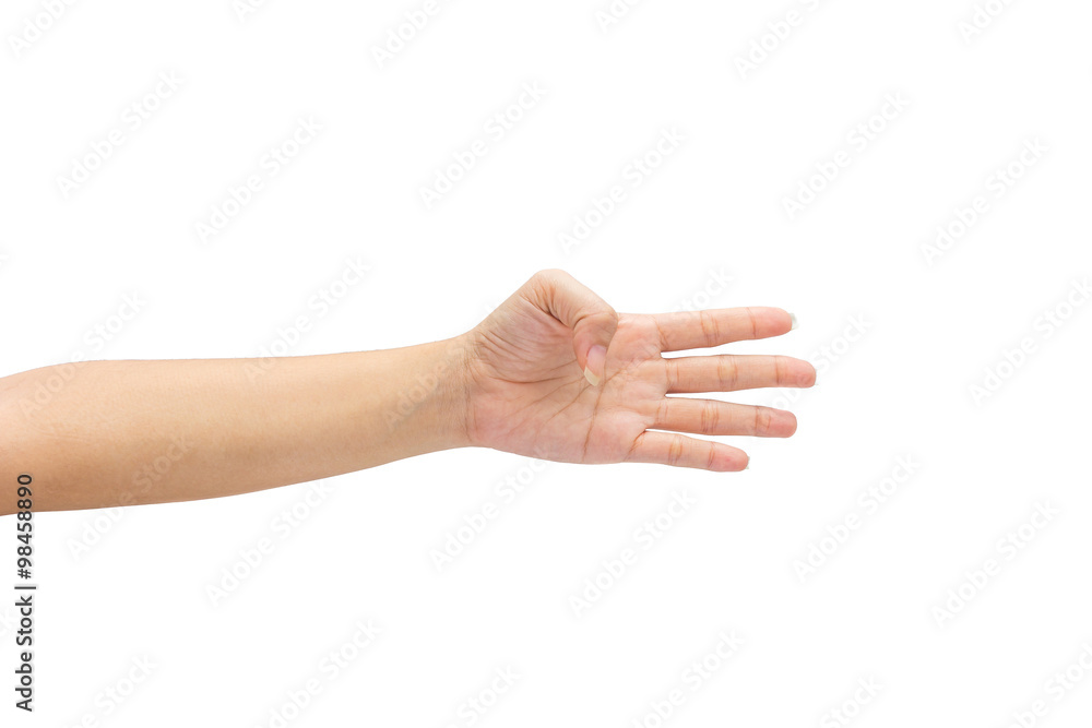 female hand on the isolated on white background female hand on the isolated on white background