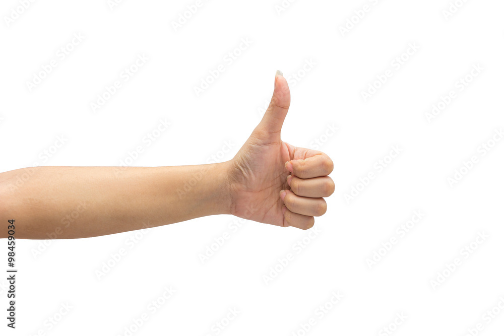 female hand on the isolated on white background female hand on the isolated on white background