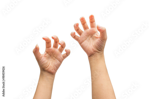 Two hands isolated on white background