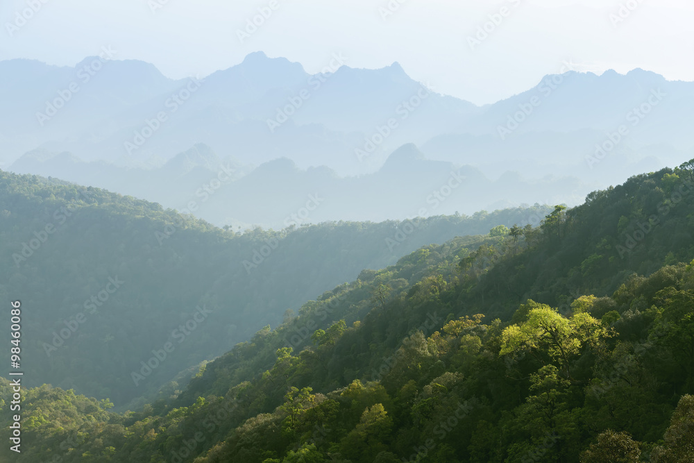 The simple layers of mountain, green nature background.