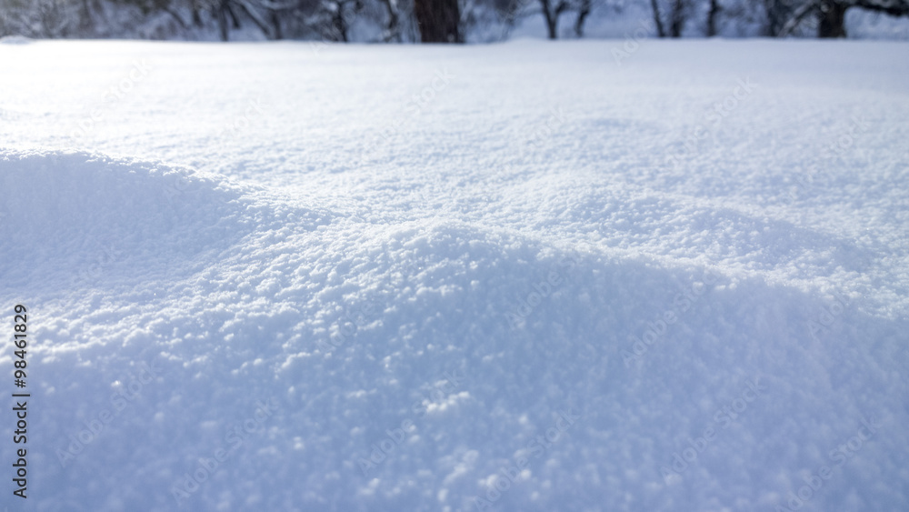 Obraz premium White fresh snow background