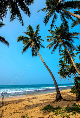 Beaches in Sri Lanka photo