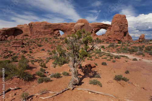 The Glasses at Arches National Park