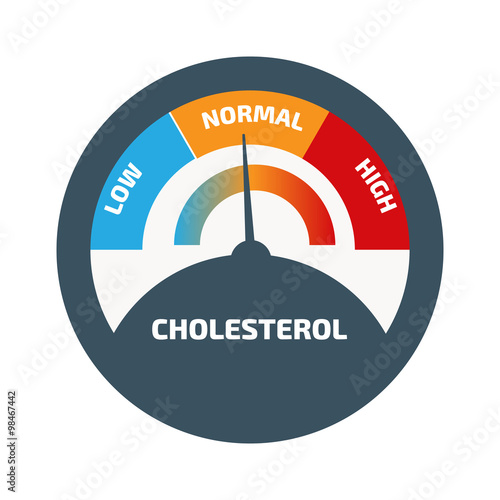 Cholesterol Meter vector