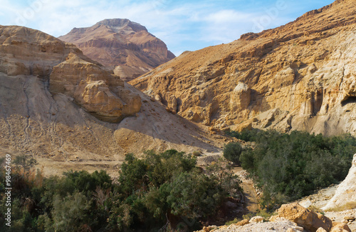 Nahal Bokek. Judean Desert photo