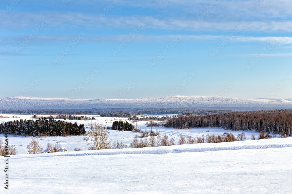 Panorama of winter wood on a background of mountains