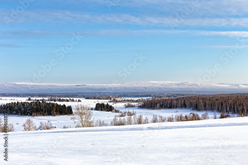 Panorama of winter wood on a background of mountains © ArtEvent ET