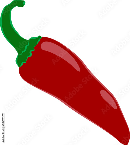 One red, bitter pepper vector
