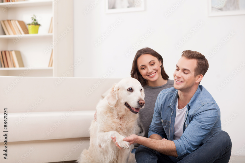 Cheerful family is playing with pretty puppy Cheerful family is playing with pretty puppy