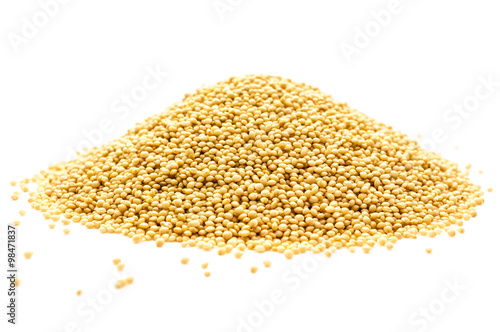 Amaranth freigestellt 