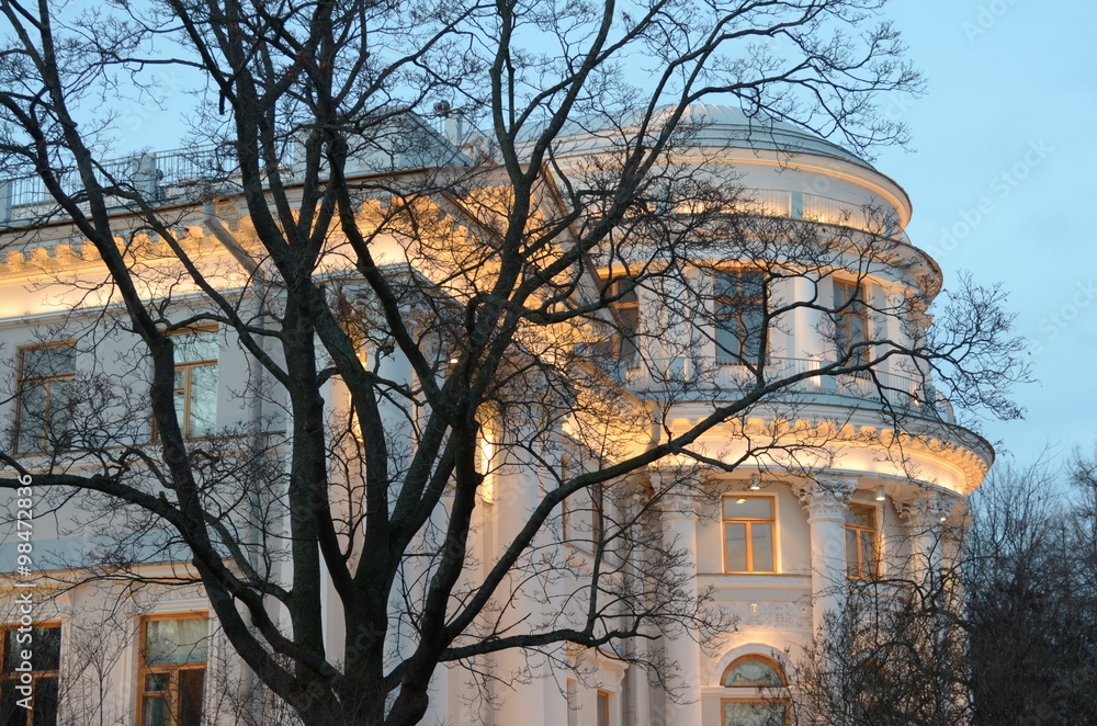 Fototapeta premium Окна дворца в ранних зимних сумерках