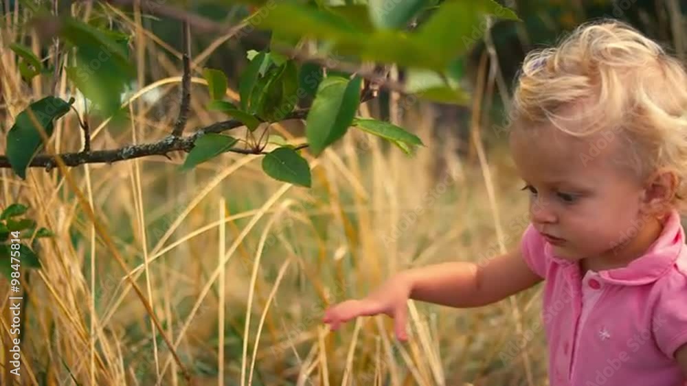 A cute little girl in a field tries to reach for apples on a tree A cute little girl in a field tries to reach for apples on a tree