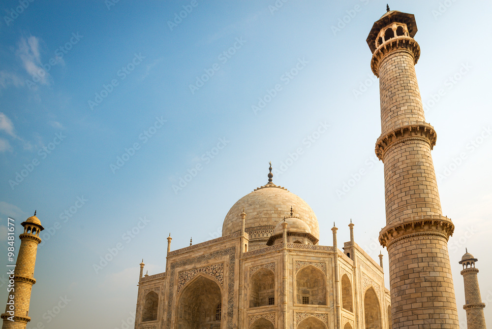 Fototapeta premium Fragment of Taj Mahal India 