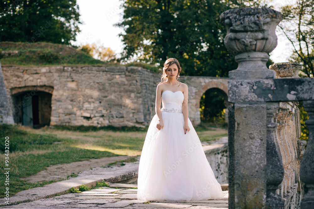Elegant stylish sweet young beautiful happy bride girl woman in amazing wedding dress stands on the old palace. Wedding day Elegant stylish sweet young beautiful happy bride girl woman in amazing wedding dress stands on the old palace. Wedding day