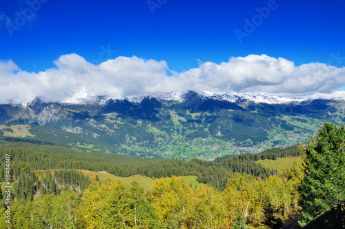 スイス 登山鉄道車窓からのアルプスの風景