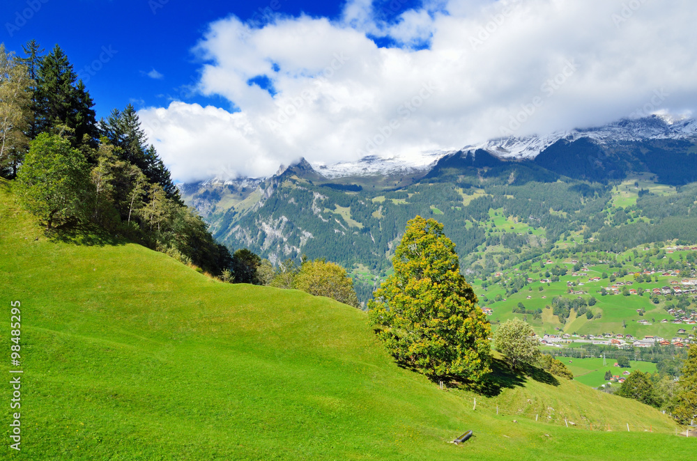 スイス 登山鉄道車窓からのアルプスの風景 スイス 登山鉄道車窓からのアルプスの風景