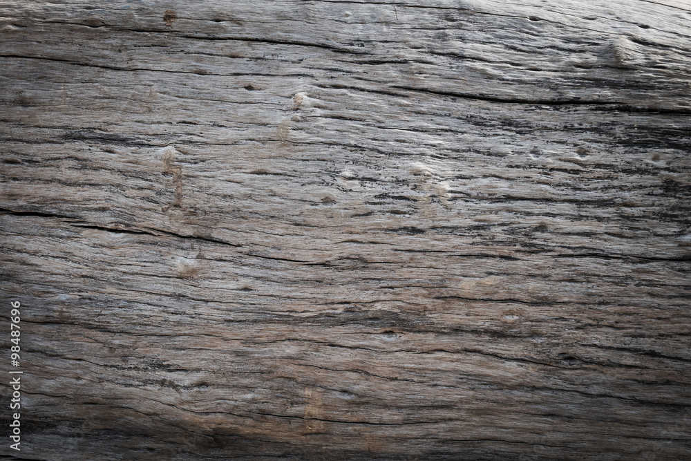 dry skin wood texture of aged hardwood background dry skin wood texture of aged hardwood background