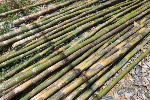 pile of bamboo stick prepare for material of construction