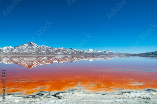 Laguna Colorada in the morning photo