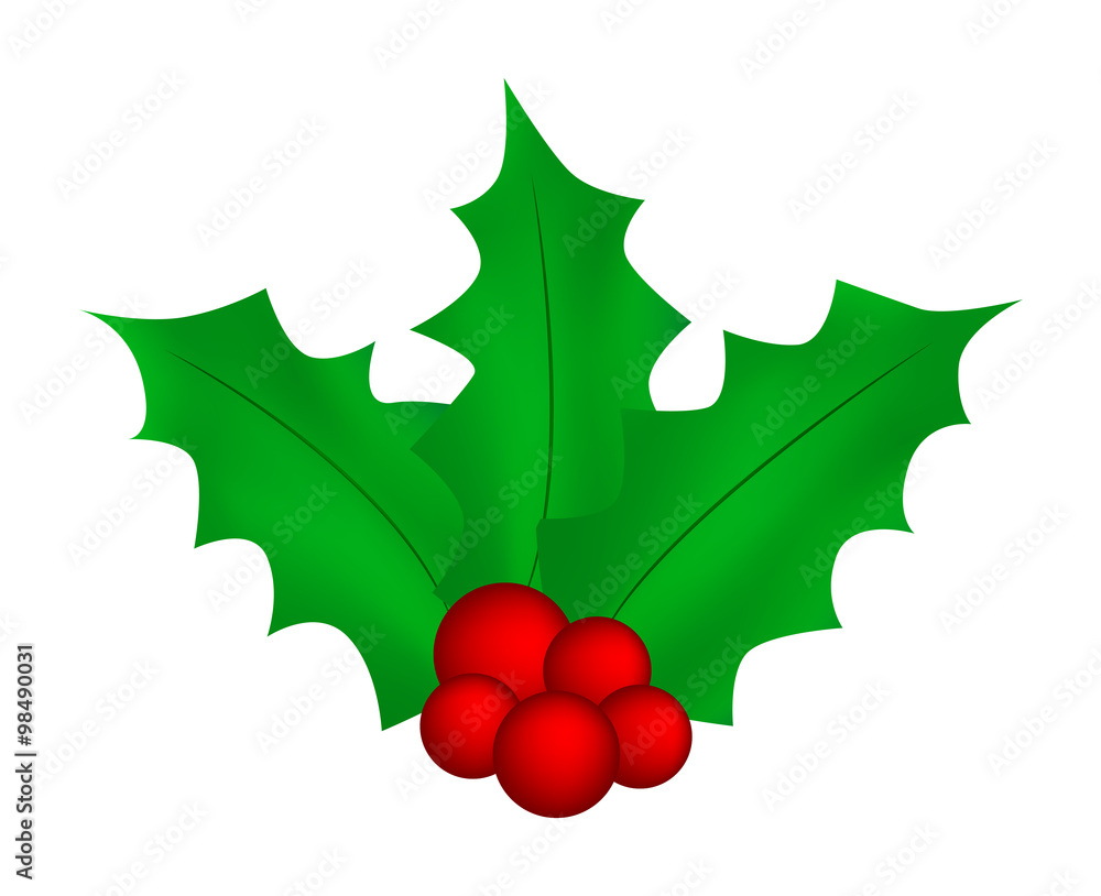 Holly berry, Christmas leaves and fruits icon, symbol, design. Winter vector illustration isolated on white background. Holly berry, Christmas leaves and fruits icon, symbol, design. Winter vector illustration isolated on white background.