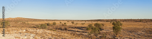 Dry Nossob River in the Kgalagadi Transfrontier Park, South Africa