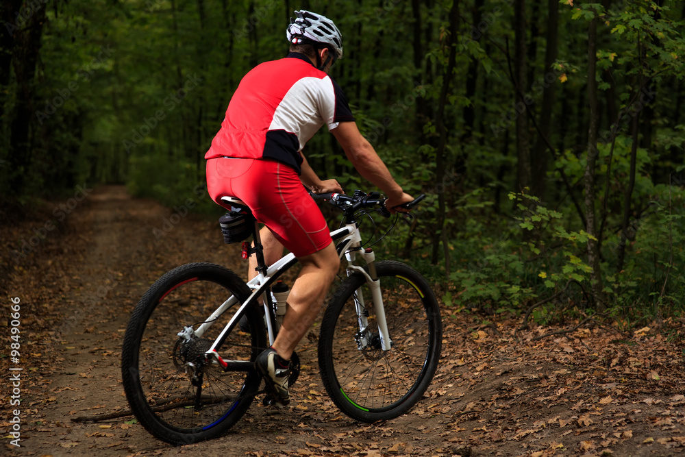 Fototapeta premium Bicyclist with His Bicycle in the Summer Forest