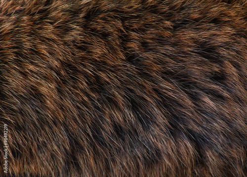 brown and black and white animal fell texture