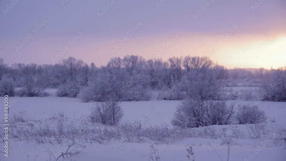 snowfall .Winter landscape.Winter beauty scene.
snowfall .Winter landscape.Winter beauty scene.